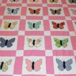 Lots of butterfly blocks